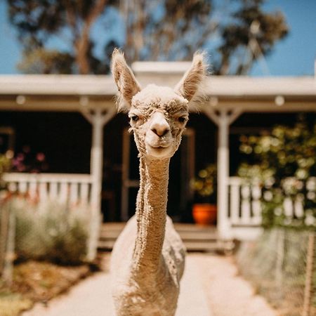 Margaret River Holiday Cottages Kültér fotó
