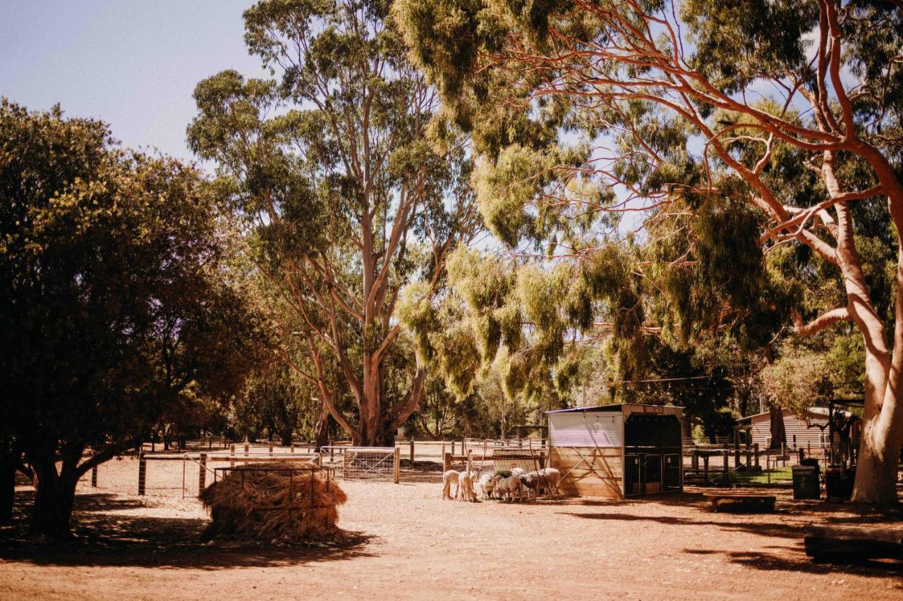 Margaret River Holiday Cottages Kültér fotó