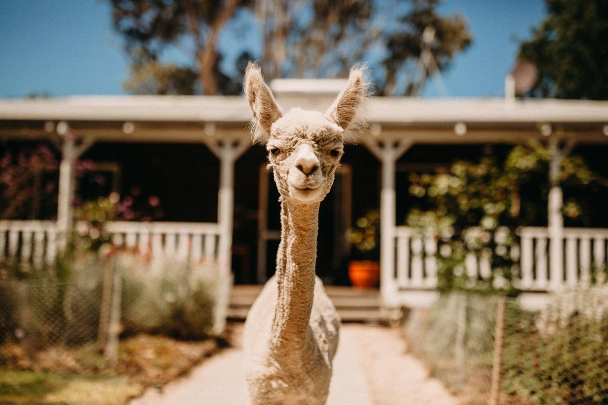 Margaret River Holiday Cottages Kültér fotó
